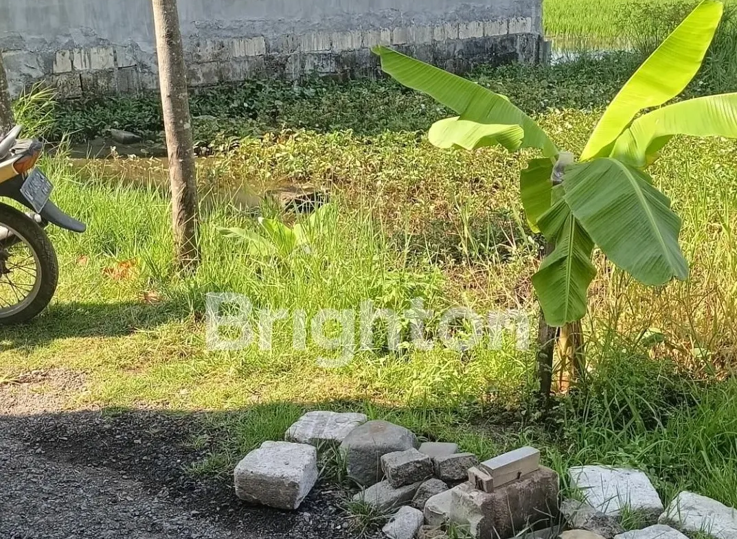 Jual Tanah di MASANGAN KULON Sukodono Sidoarjo Jawa Timur - TANAH MASANGAN KULON - ASA INDONESIA 085235111122 - BRIGHTON REAL ESTATE